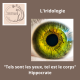 iridologie