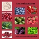 Les antioxydants