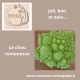 Le chou romanesco